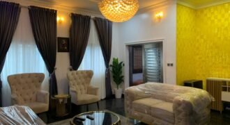 Luxury Shortlet (Fokotuku Avenue, Ajao Estate Lagos)